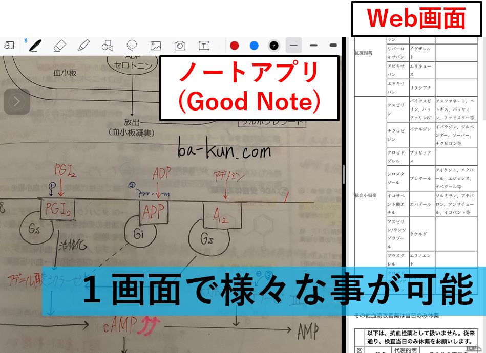 薬剤師国家試験 7年以上ipadで勉強してきた超効率な学習方法 21年1月更新 ばーくんのお薬説明書