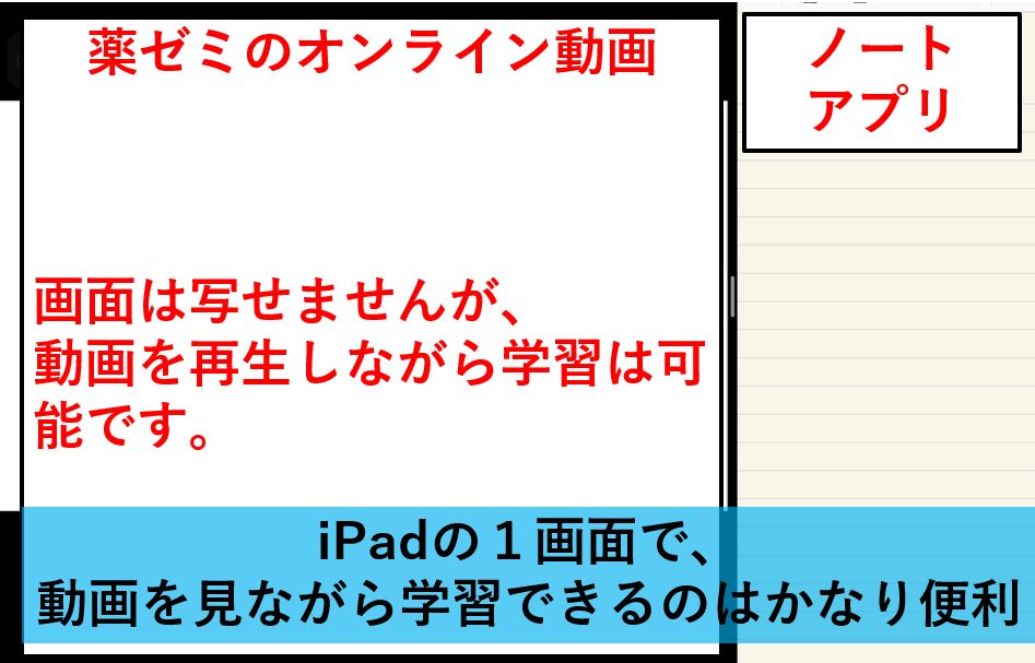 薬剤師国家試験 7年以上ipadで勉強してきた超効率な学習方法 21年1月更新 ばーくんのお薬説明書